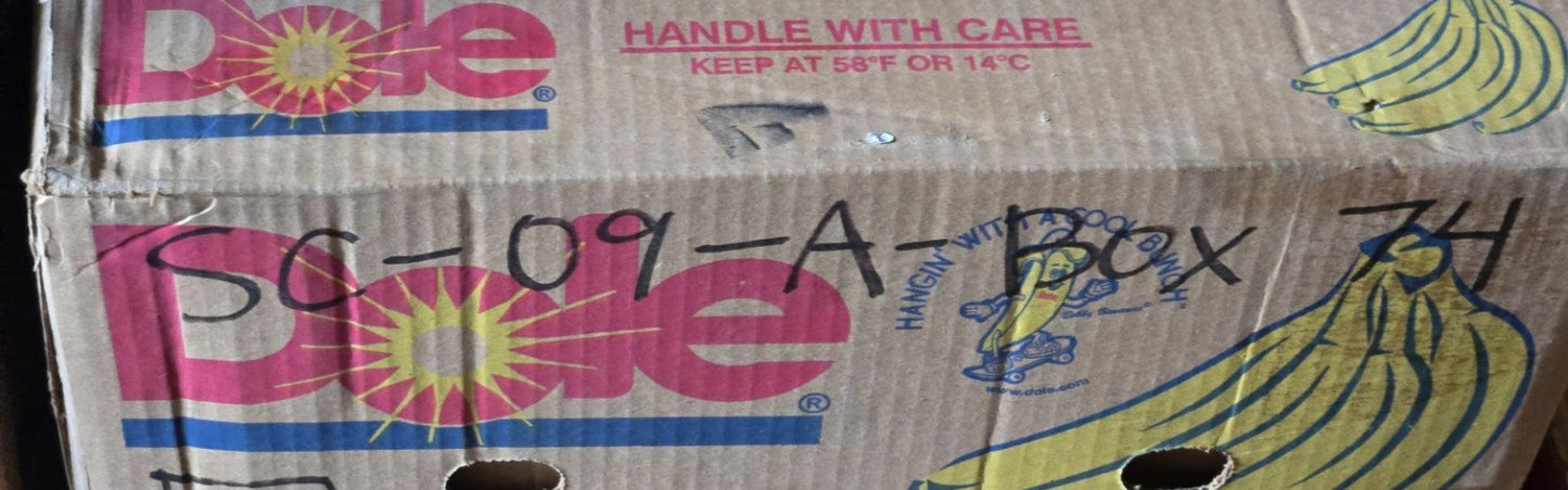 7 Quantity of Bones SDC Skateboard Bearings | 22 mm OD x 8 mm Bore (7 Qty)