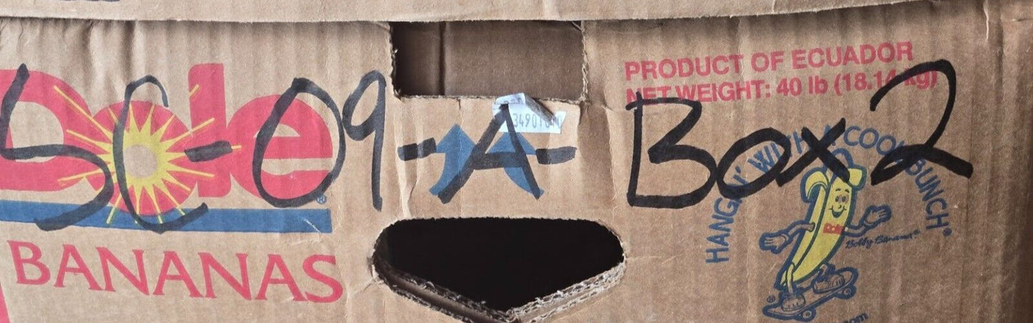 Check Valve CP-6P-05 | LHA A07 | 3.5" Long | 36 mm Hex | 3/4" NPT Thread Size