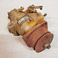 Roosa Master Injection Pump DBGFCC429 | 301910 | 1605739 | 2300 Damaged