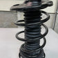 Suspension Strut and Coil Spring 0831900-2109-120