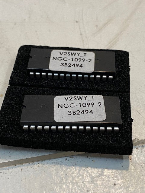 2 Qty of Integrated Circuit Eprom Chips V2SWY_T | NGC-1099-2 | 3B2494 (2 Qty)