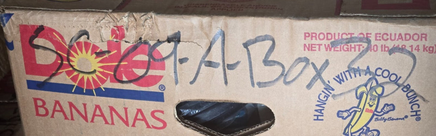 Gold Glass Group GGG 2724 S Kit | 2 Pieces Side Molding | 32" Long