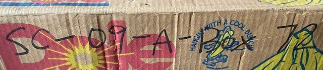 IPTCI 2-Bolt Flange FL207 w/ Insert Bearing UC207-20 | 31mm Bore