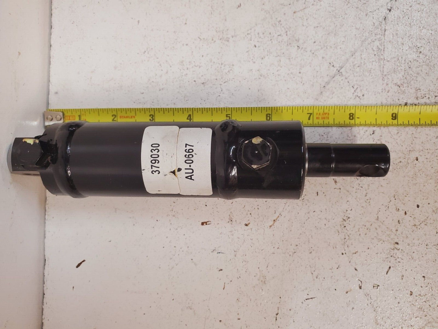 Hydraulic Cylinder AU-0667 | 379030 L262463