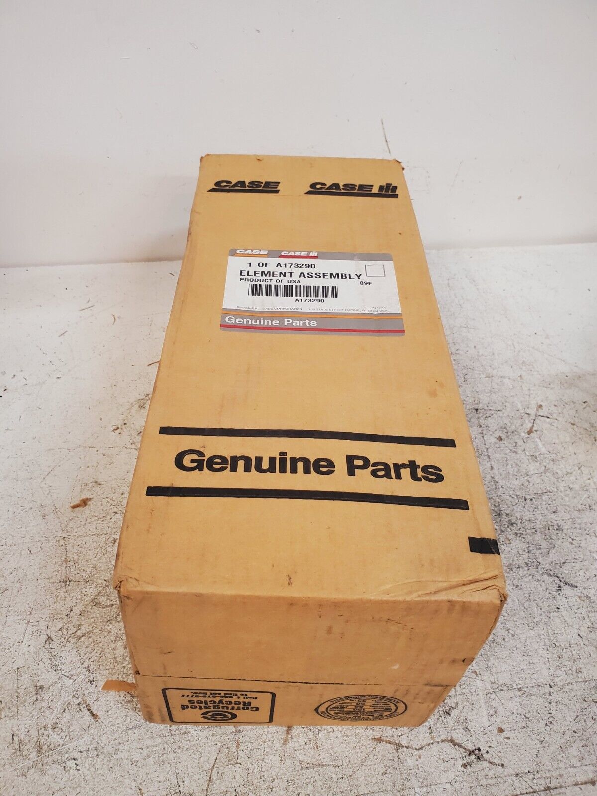 Case Genuine Parts Air Filter A173290 | 09F