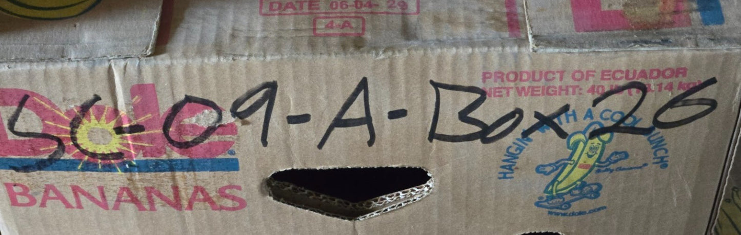 Oil Pump for Ridgid Threading Machine 62052 | 10 Tooth Sprocket 10mm Mount Holes