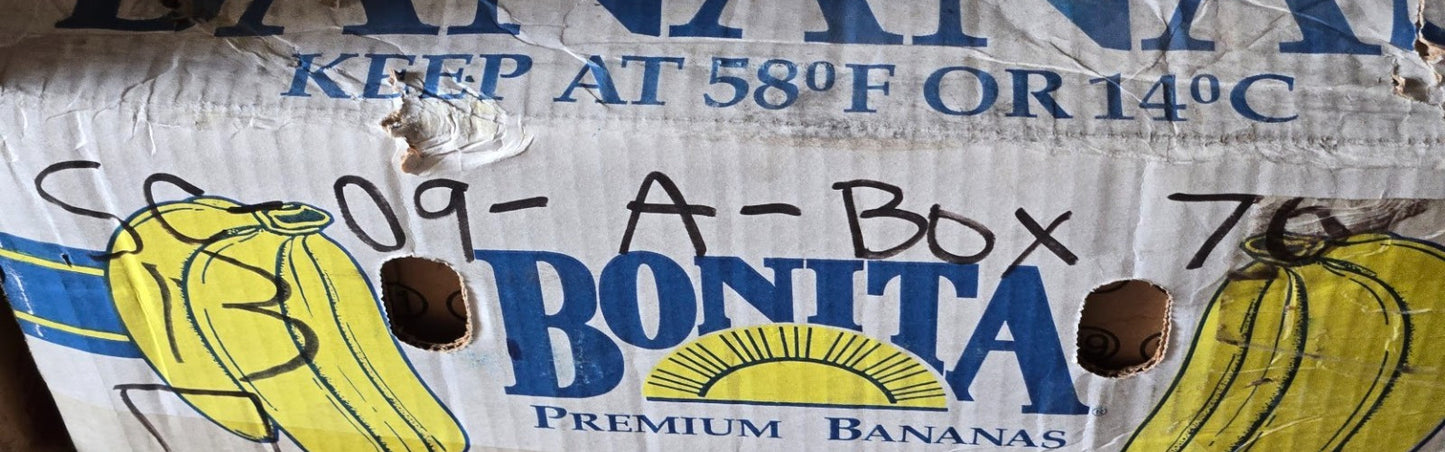 BCA Snap Ring Single Row Bearing 308L | 90 mm OD x 40 mm Bore x 22.9 mm Thick