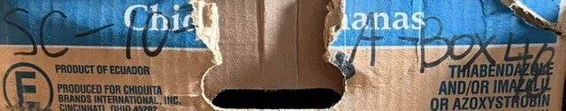 Windshield Molding Trim For 1996 & Up Dodge Caravan MWD1226 Automotive Unit