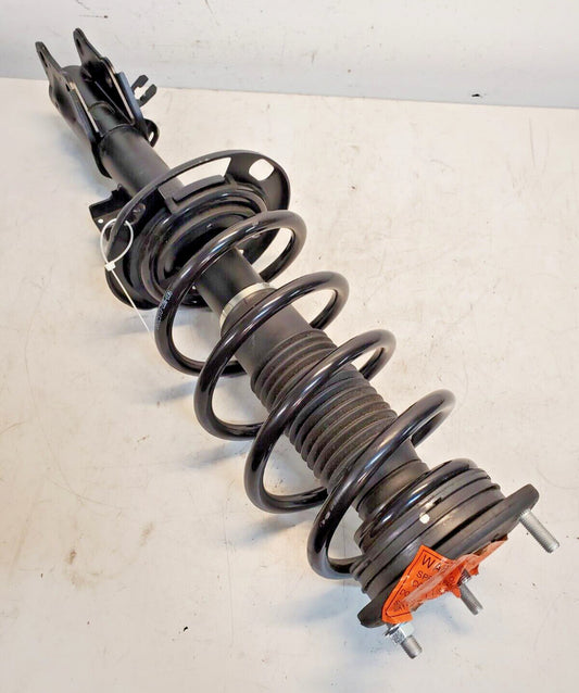 Shock Strut Spring 2573034101 | CEA0828 | 0832910-2206-036