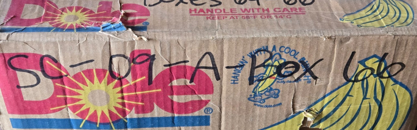 50 Quantity of Case 413-616 Hex Bolts | 3/8"-16 x 1" | 7/16" Hex (50 Quantity)