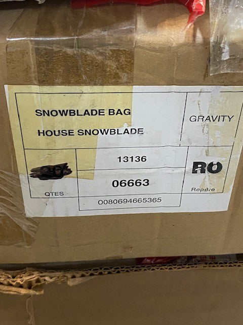 Salomon House Snowblade Bag 06663 Gravity Blue RO 42" Long