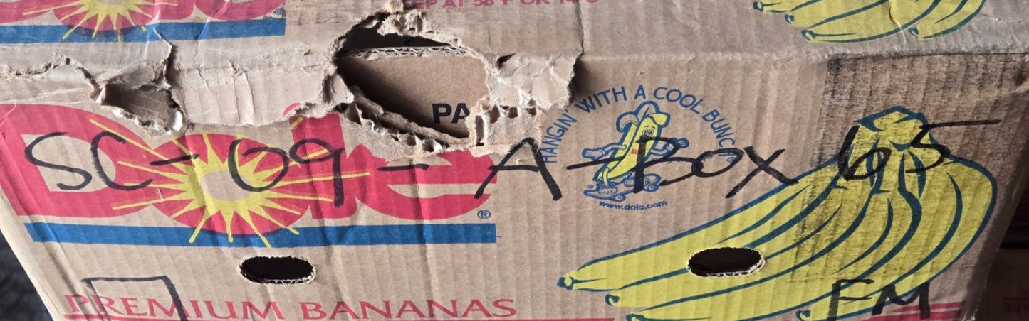 6 Quantity of Tapered Roller Bearing Cones LM67048 | 1-1/4" Bore (6 Quantity)