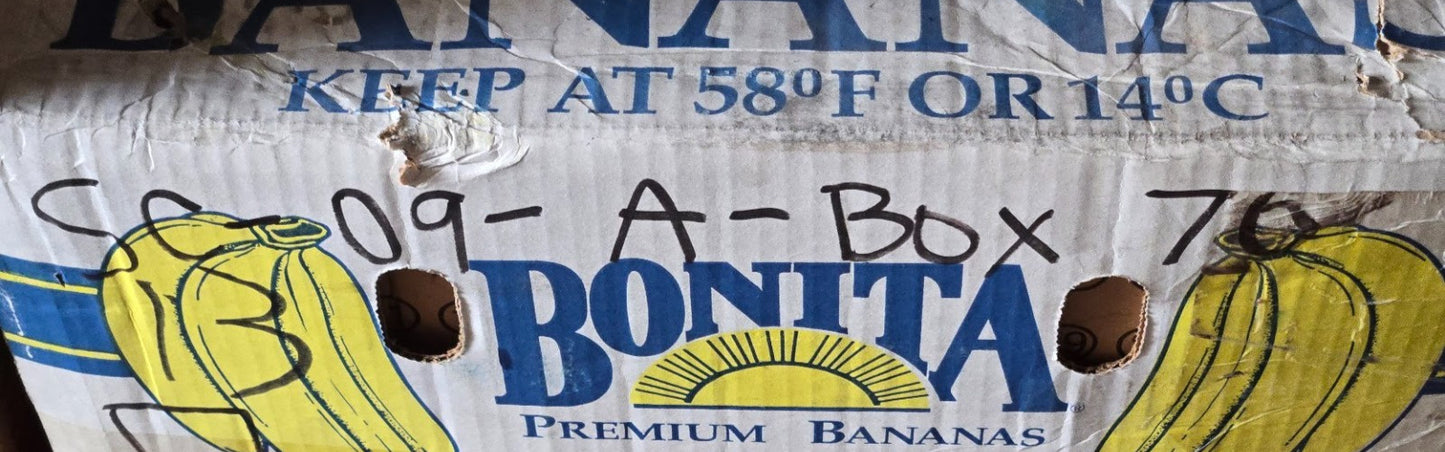 Metal Shielded Ball Bearing 6207Z | 72 mm OD x 35 mm Bore x 17 mm Thick