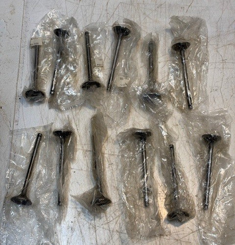 12 Qty of 4x Intake Inlet Valves for Honda Integra Accord 14711-PG6-000 (12 Qty)