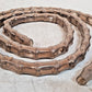 2 Quantity of Roller Chains 5-1/2' Length | A2040 (2 Qty)