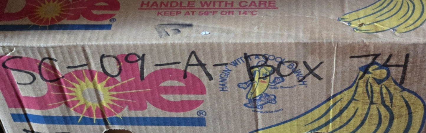 10 Quantity of Killer Bees ABEC 5 Bearings 608Z | 22 mm OD x 8 mm Bore (10 Qty)