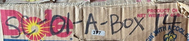 World Wide Automotive Premium Remanufactured Delco Remy Alternator | 20445