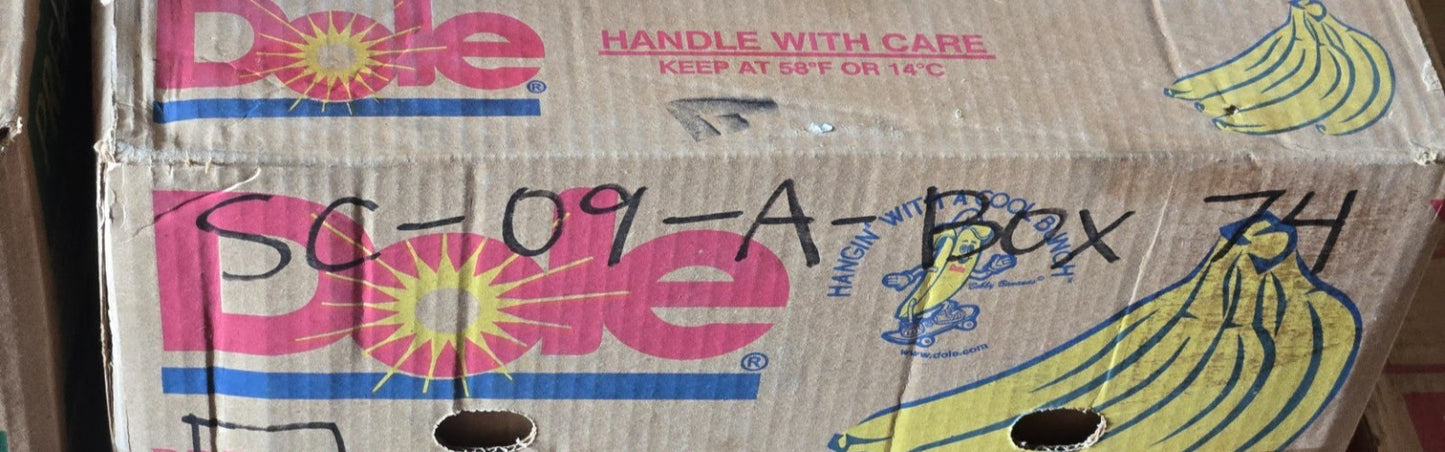 4 Quantity of Snap Ring Bearings 6205RS | 52 mm OD x 25 mm Bore (4 Quantity)