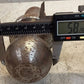Heavy Duty Gooseneck Trailer Ball Hitch 2-5/16 25,000 LBS Rated Towing Unit