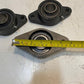 3 Quantity of IPTCI 2-Bolt Flange Bearing NFL206 SA206-20G 30mm Bore (3 Qty)