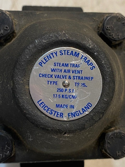 Plenty Steam Traps Bimetallic Steam Trap Air Vent Check Valve Strainer TS250