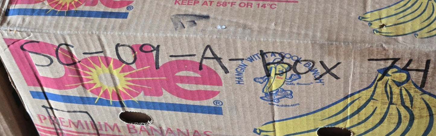 10 Quantity of PC Metal Shielded Ball Bearings 6201Z | 32 mm OD (10 Qty)