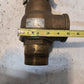 Kunkle Valve 6010JJ01-AM | 2 1/2" 4260 LB/HR