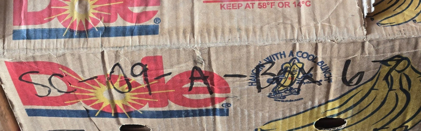 2 Quantity of Mounted Bearings 6206-RSZ for Speed Queen 27182 30 mm Bore (2 Qty)