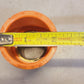 Spears Grooved x Socket FlameGuard CPVC Brass Coupling 1-1/4" | 4233-012