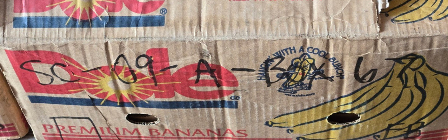 40 Quantity of INA Bearings 608ZC3 | 22 mm OD x 8 mm Bore x 7 mm Thick (40 Qty)