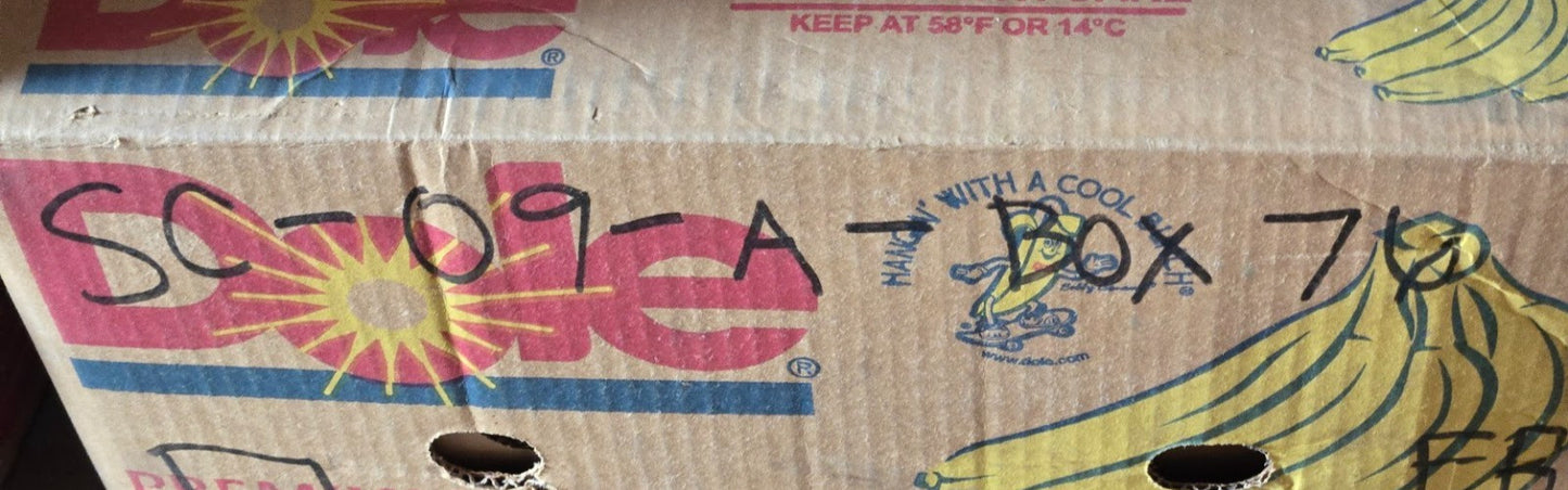 SG Tapered Roller Bearing Cone JM205149 | 82.7 mm x OD 50 mm x Bore 28.7 mm Wide