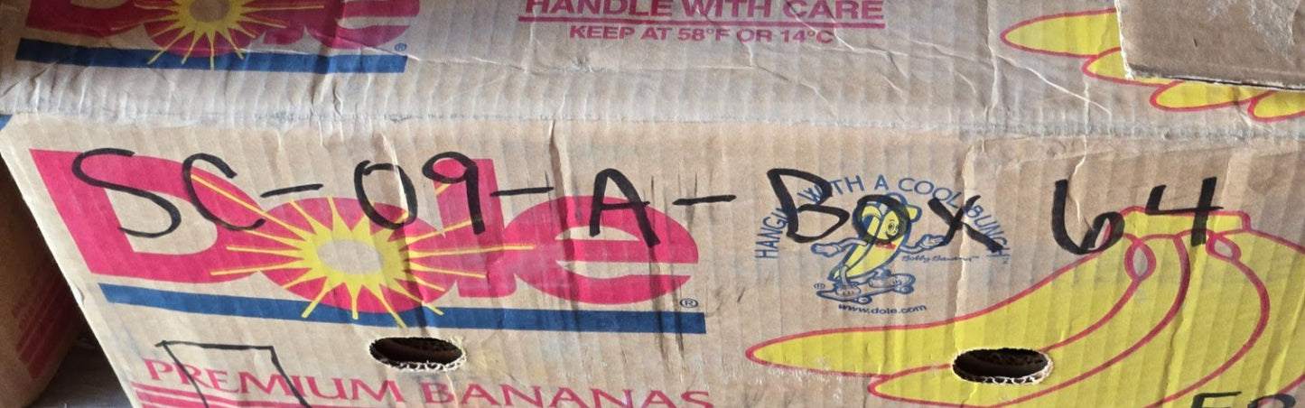 2 Quantity of SST Ball Bearings Metal Shielded 6204ZZC3 | 47 mm OD (2 Qty)