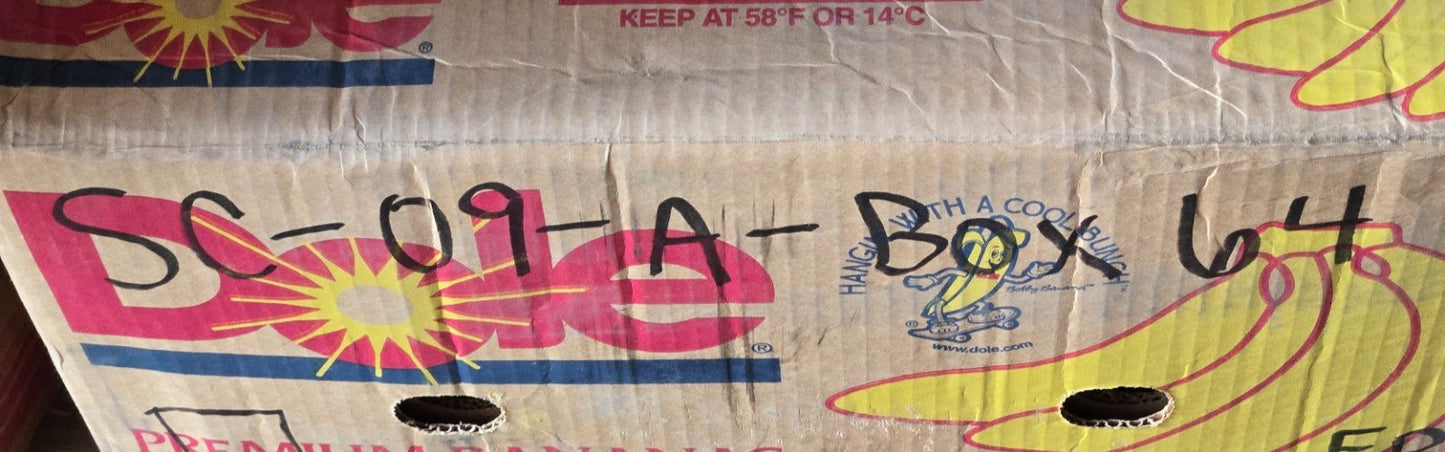 9 Quantity of Metal Shielded Ball Bearings 202RRE | 35 mm OD 15 mm Bore (9 Qty)