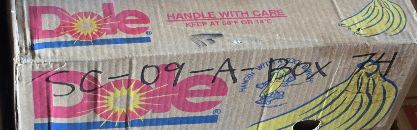 2 Quantity of CCVI Mast Guide Bearings MGV 207 2RS X3-2AL | BCH0655 (2 Qty)