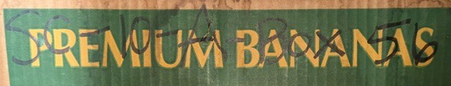 Genuine General Motors Engine Oil Cooler Hose Assembly 25646231 Automotive Unit