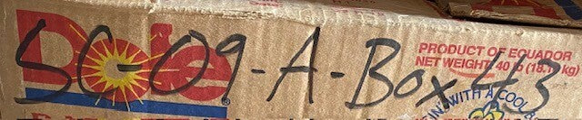 10 Quantity of RC Self Locking Wheel Stud Bolts N 359 L | 28mm Thread (10 Qty)