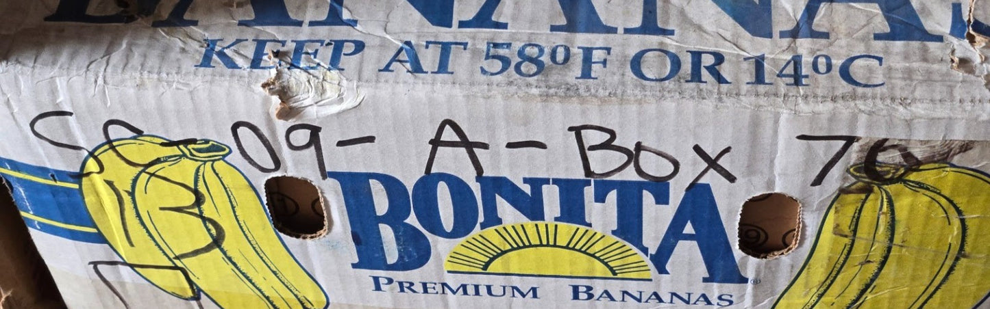 National Tapered Roller Bearing Cone HM212049 | 13 EH | 2-5/8 in Bore