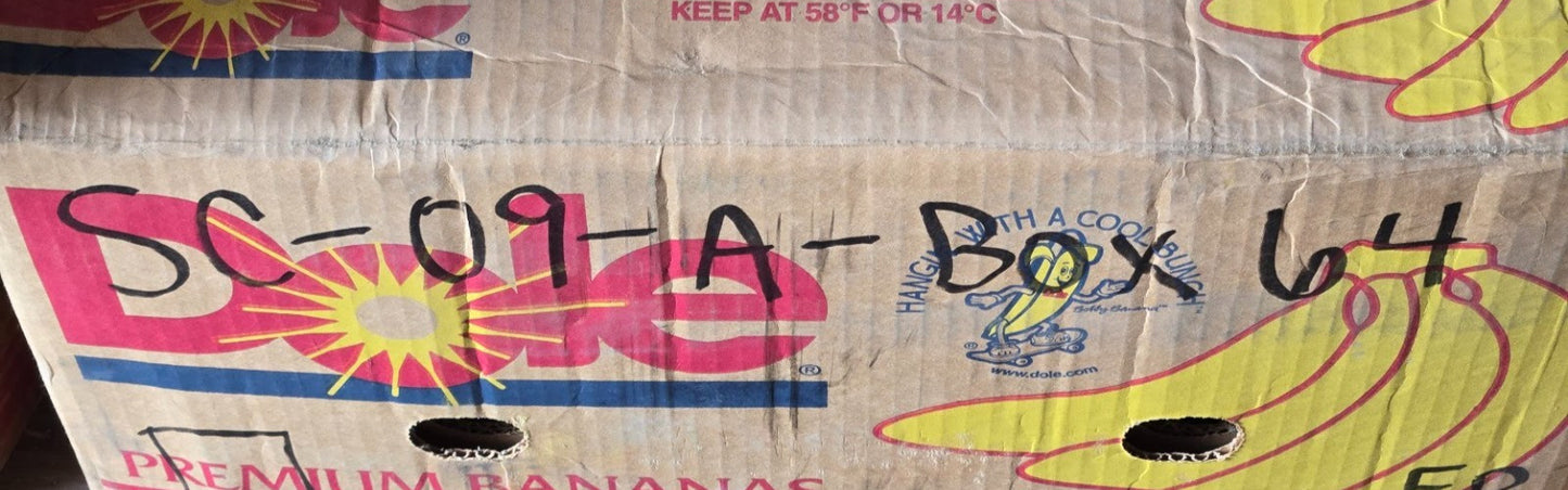 MRC Snap Ring Bearing 206SZZG | H201 164T | 62 mm OD x 30 mm Bore x 16 mm Thick