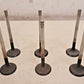 6 Quantity of LS6 Intake Valves 1.5" x 5" (6 Qty)