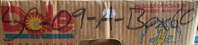 5 Quantity of Peer Bearings 6205-2RS-C3 | 6205RS | 52mm OD 25mm Bore (5 Qty)