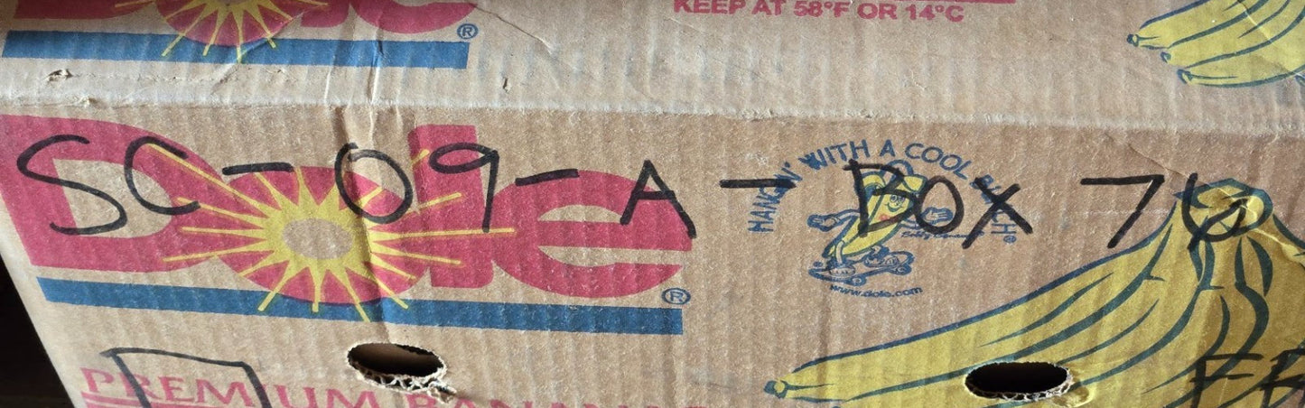 Shuster Mast Guide Bearing MG309DDB | 127 mm OD x 45 mm Bore x 31.75 mm Wide