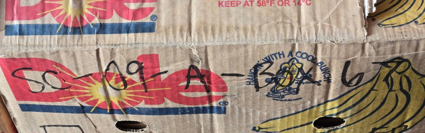 5 Quantity of Escalator Rollers | 3 in Diameter 22 mm Wide 17 mm Bore (5 Qty)