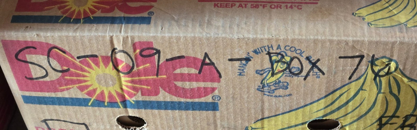 7 Quantity of XCD Thrust Bearings T88W | 48.02 mm OD x 22.73 mm Bore (7 Qty)