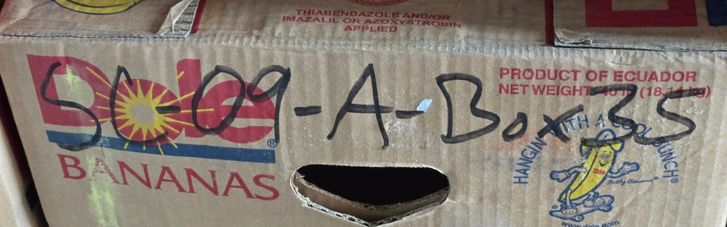 Concentric Water Pump 3905357 | Pulley 3913430 | Triangular Flange | for Cummins