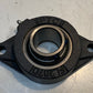 IPTCI 2-Bolt Flange Bearing FL207D SBSP207-23GW 36mm Bore