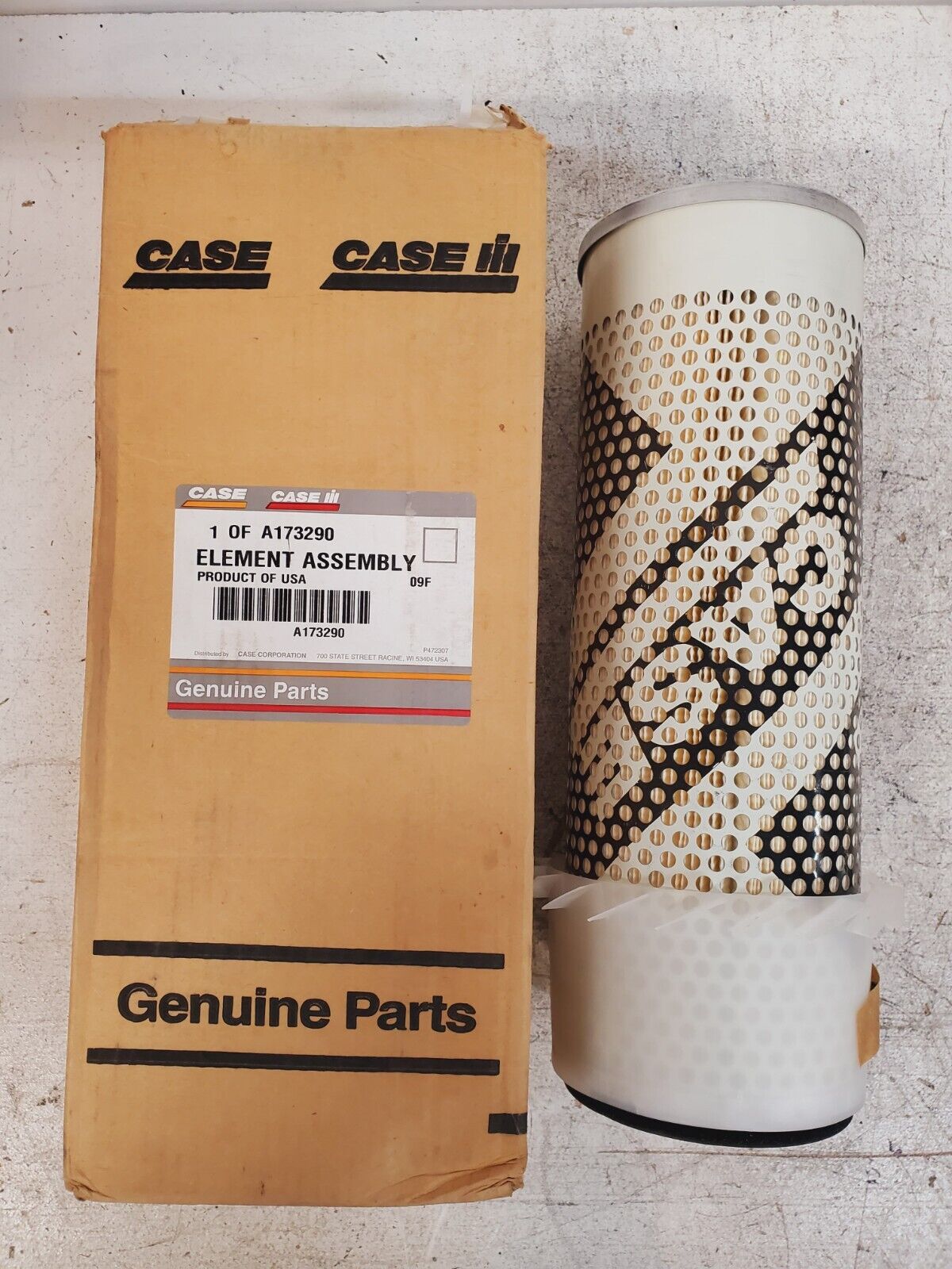 Case Genuine Parts Air Filter A173290 | 09F