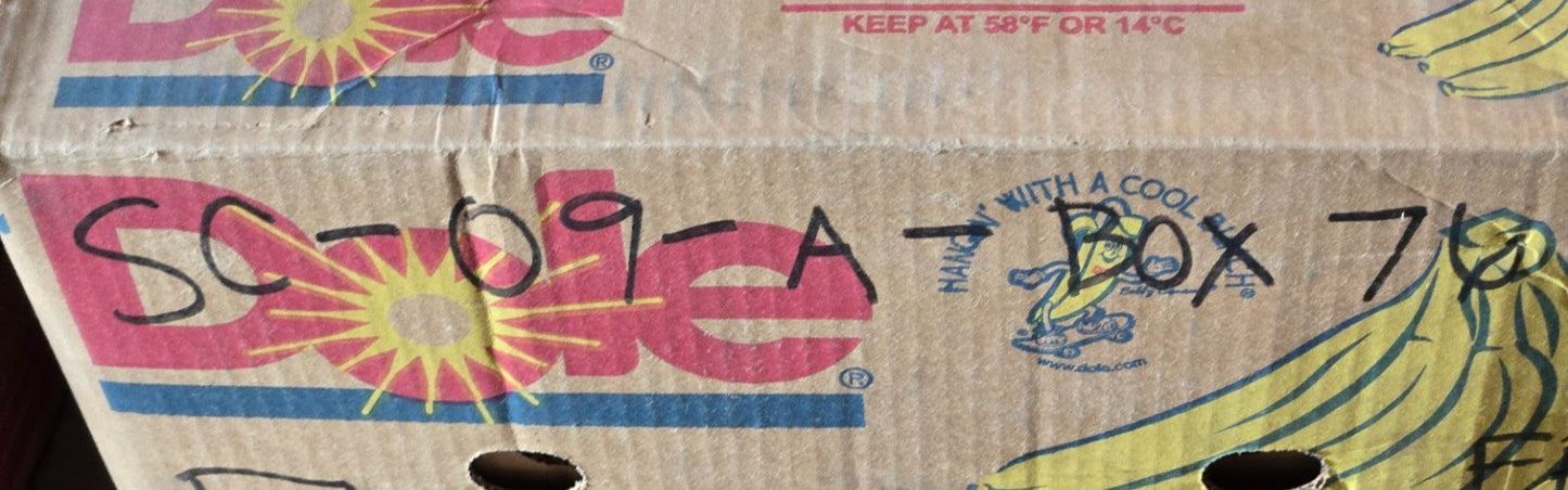 10 Quantity of GBC Ball Bearings 6200 | 30 mm OD 10 mm Bore 9 mm Thick (10 Qty)