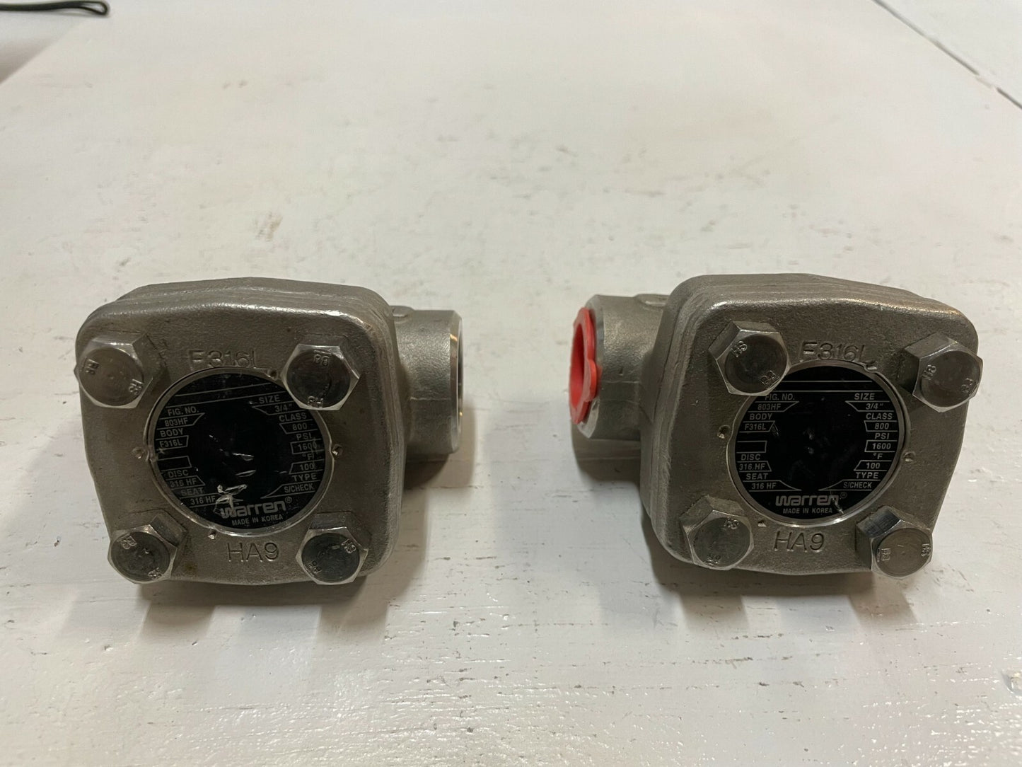 2 Warren F316L | 803HF | 3/4" | 1600 PSI Check Valve (Set of 2)