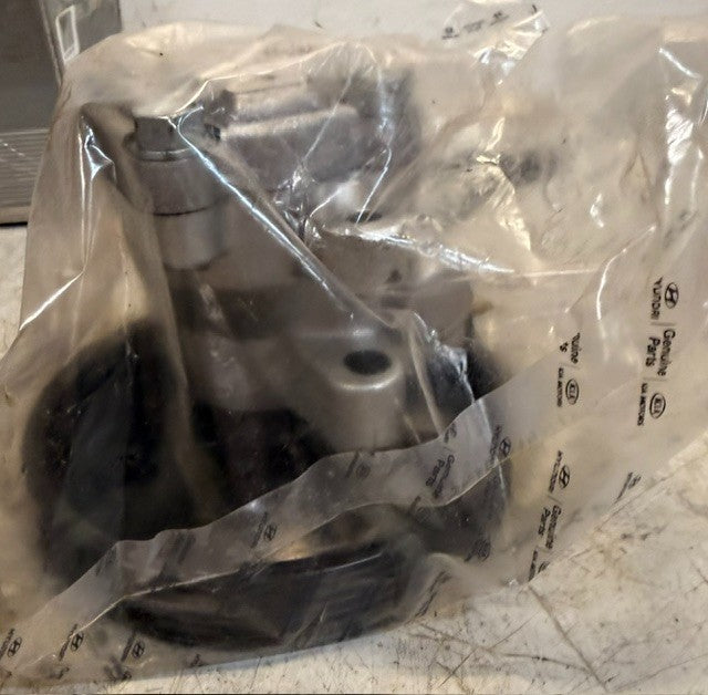 Hyundai Genuine Parts Power Steering Oil Pump Assembly 57100-38100 Automotive