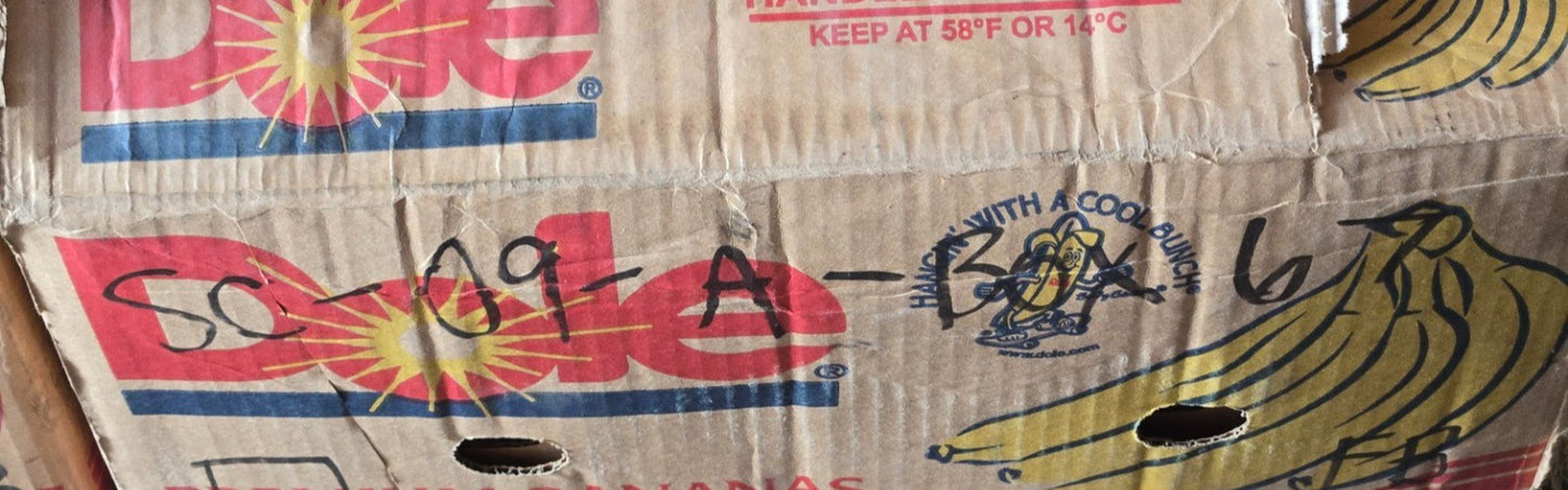 Aggressor 31227 Double Row Bearing 3307 | 80 mm OD x 35 mm Bore x 34.9 mm Thick